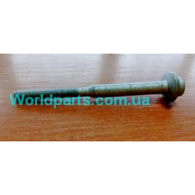 Болт кріплення форсунки VW T-5/CADDY 2,0TDI 2010-